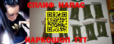 стафф Будённовск
