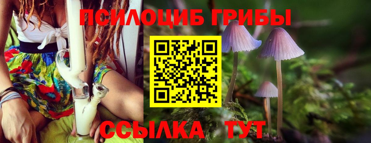 Холмск  Псилоцибиновые грибы Magic Shrooms  Галлюциногенные грибы Magic Shrooms  Вход с VPN 